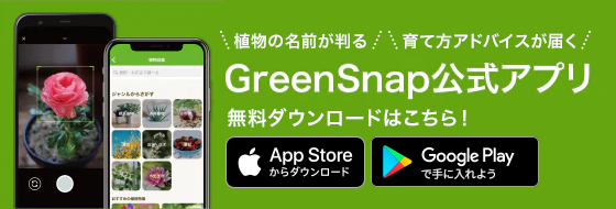 GreenSnap公式アプリ 無料ダウンロード