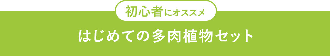 はじめての多肉植物セット