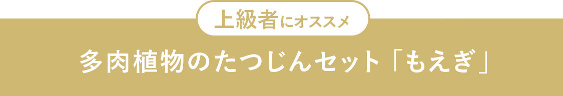 もえぎ
