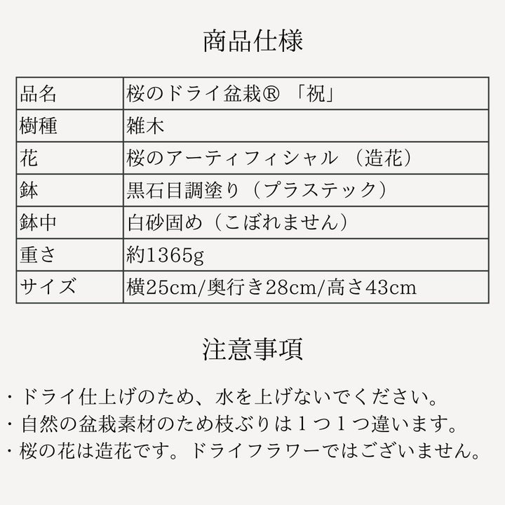 一点物】桜のドライ盆栽® 「祝」 黒石目調塗り 枯れ盆栽 ※桜の花は