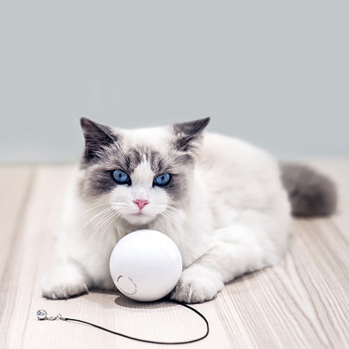 猫 おもちゃ 自動 猫じゃらし 電動 ねこじゃらし 羽毛 ねずみ ねこ ネコ 玩具 運動不足 ストレス解消 Pop N Play ハピポート