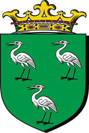 Ahearn Coat of Arms