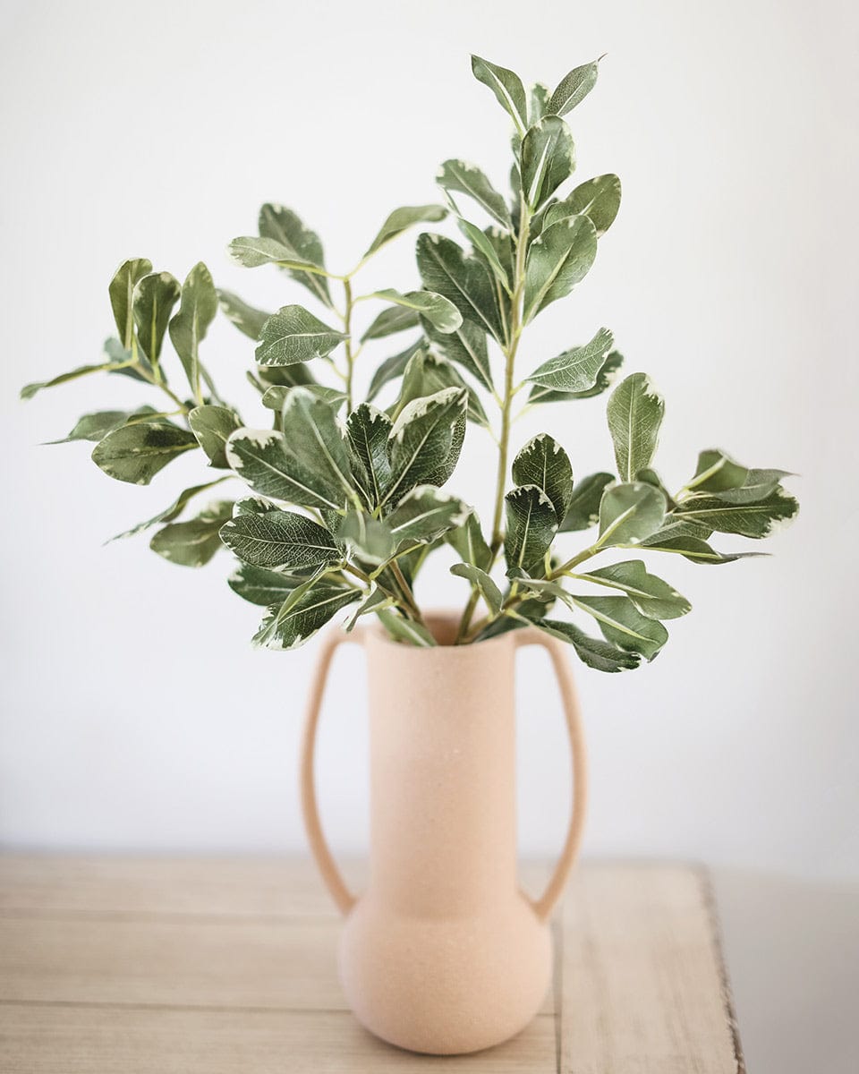 Artificial Pittosporum Greenery  Variegated Faux Pittosporum Leaves