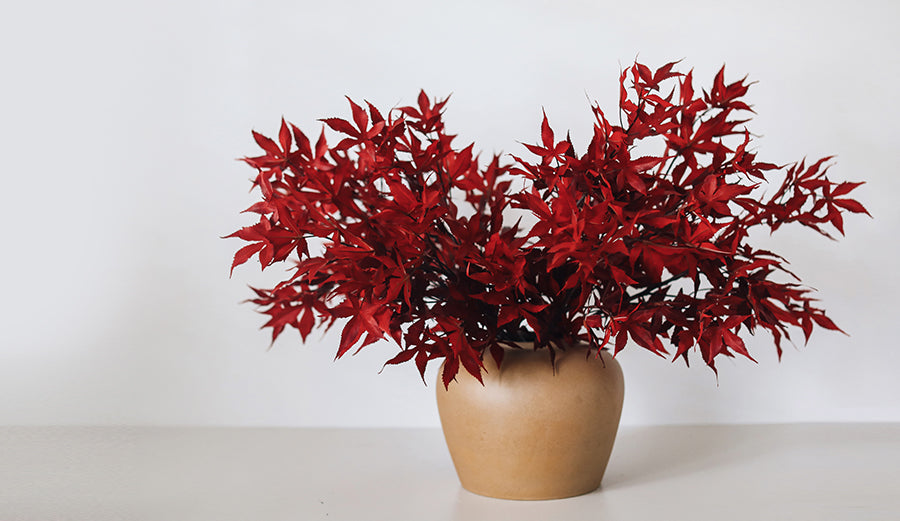 Artificial Fall Leaves Red Maple Leaves Styled in Vase