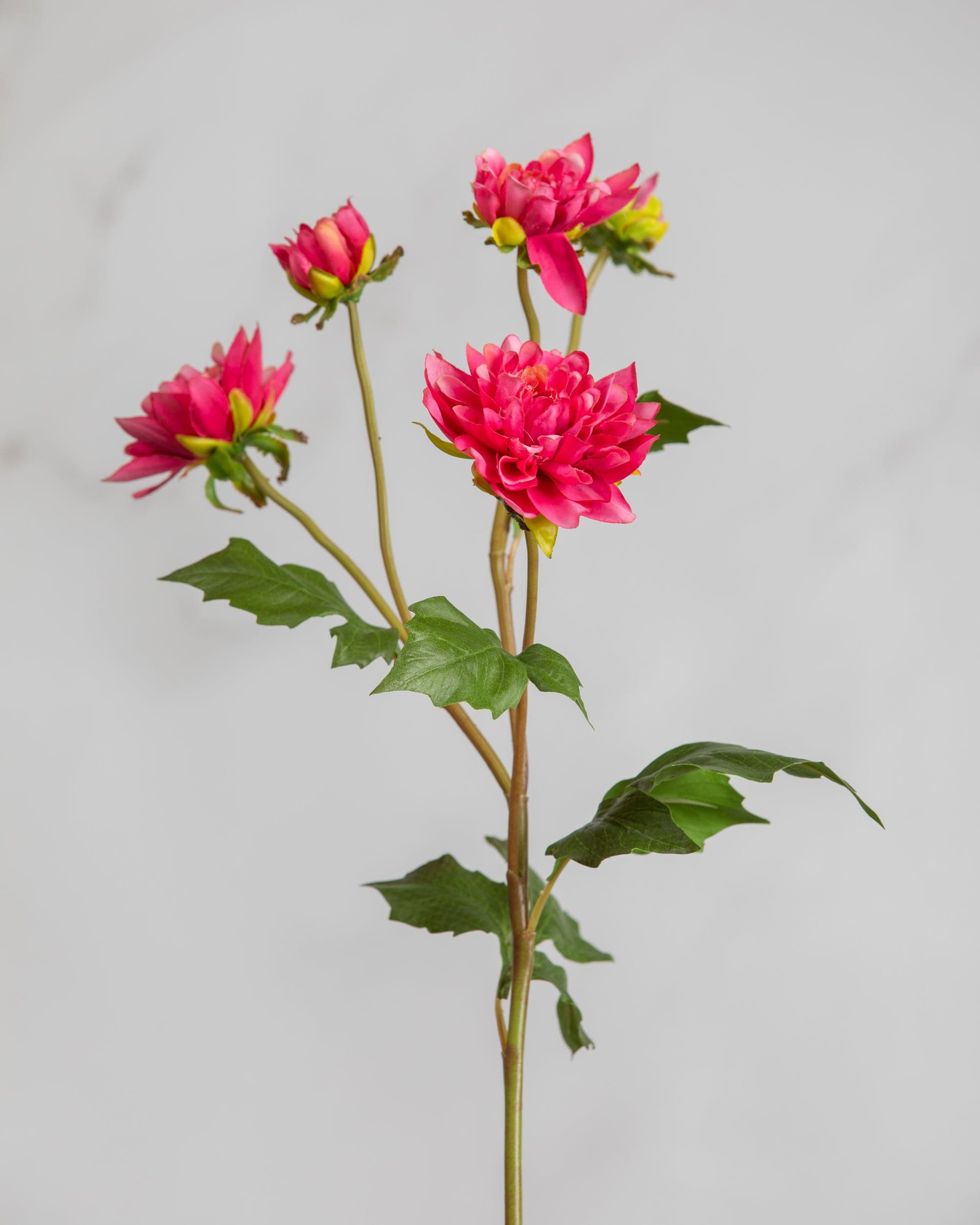 Elegant Camellia Artificial Flower Stem: Silk Flower - Temu