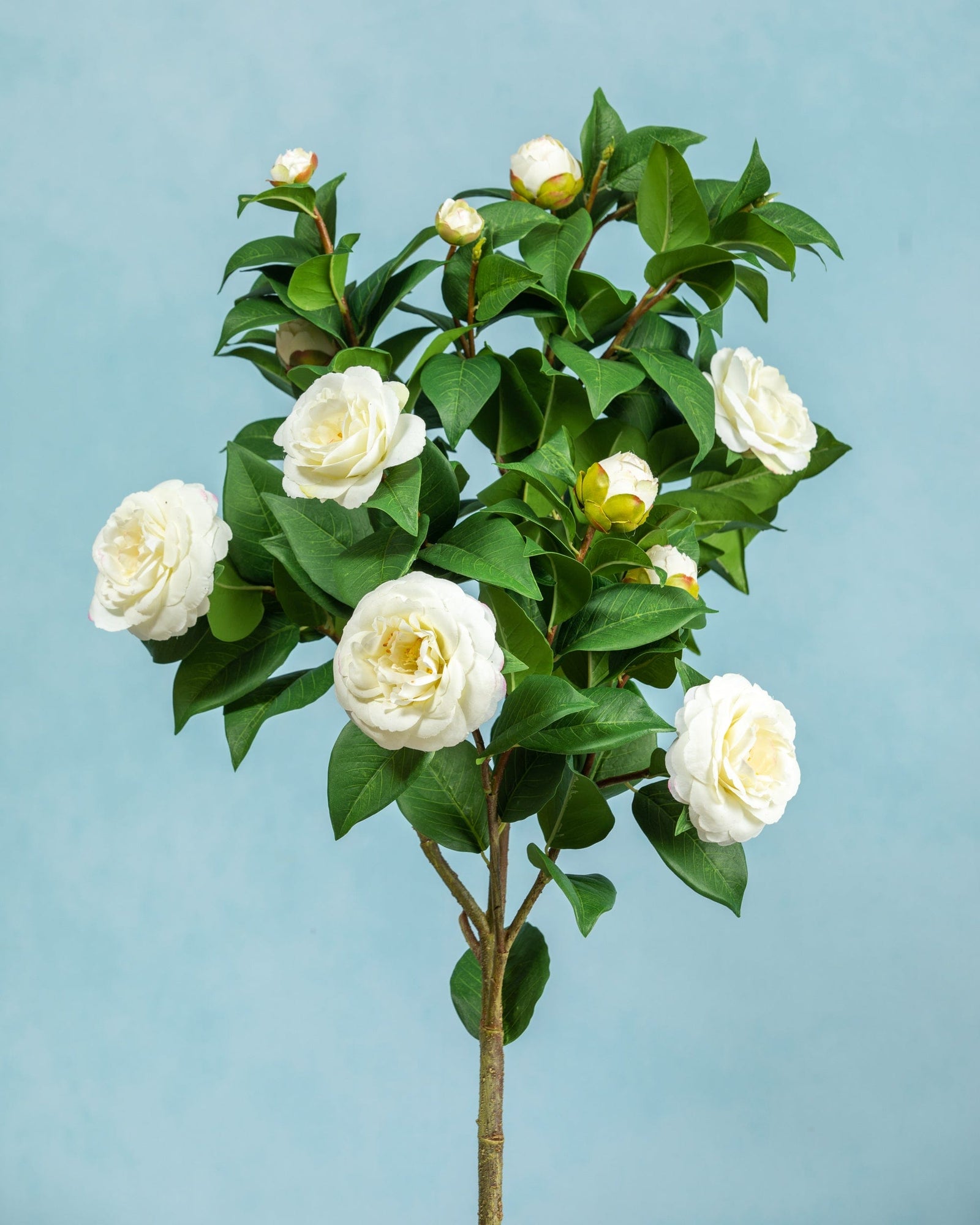 Elegant Camellia Artificial Flower Stem: Silk Flower - Temu