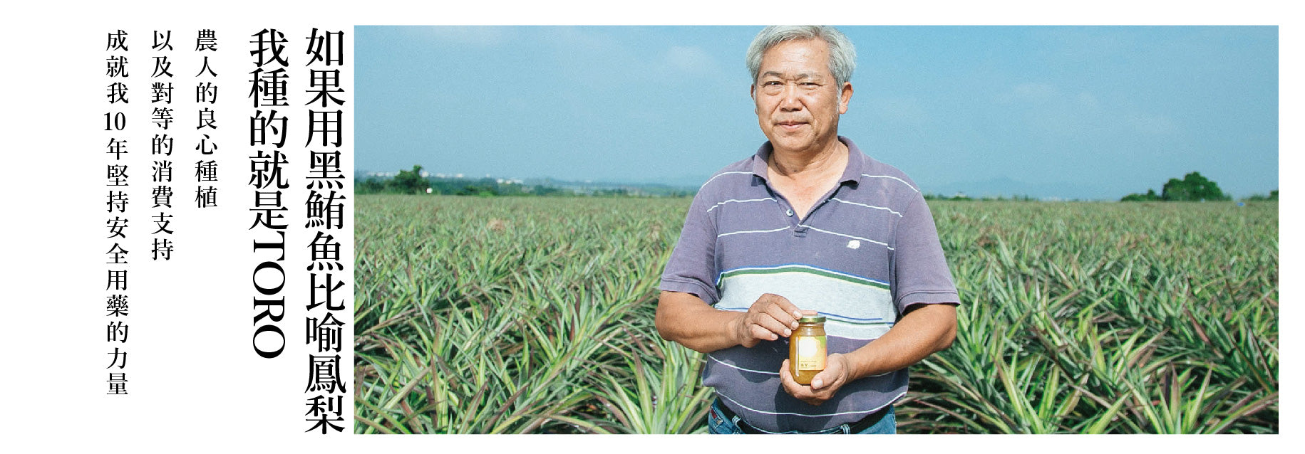 台湾 パイナップル農家