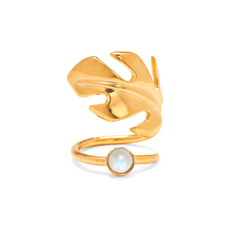 Stera Moonstone Ring in Gold – Lady Grey