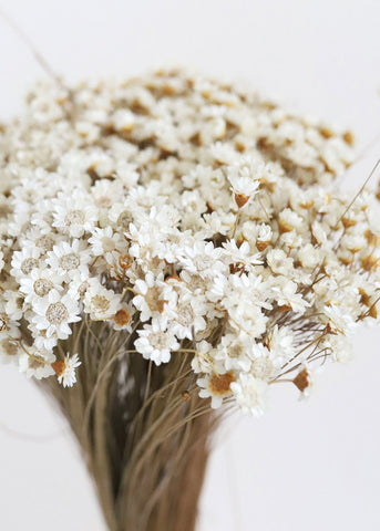 Star Flower Bouquet