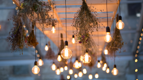 string lights around house twinkling with dried flowers