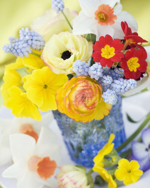 Colorful bouquet of poppies and bright flowers