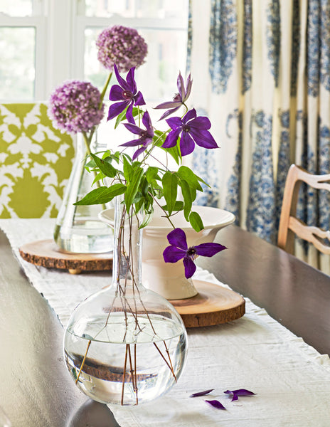 allium flower arrangement in purple