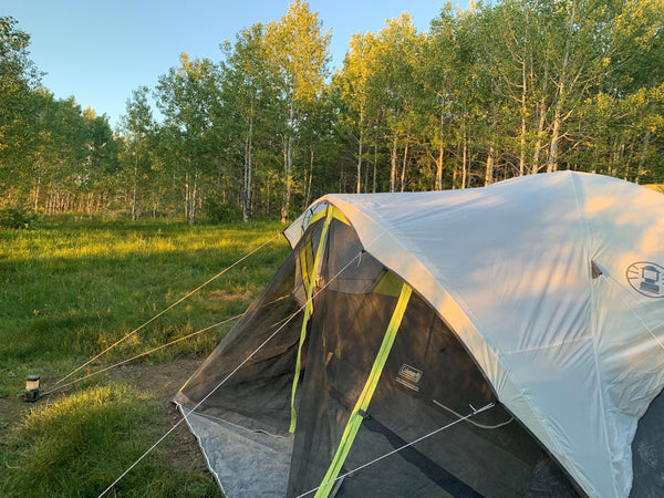 Steel Creek Tent in grassy campsite