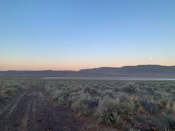 Remote desert landscape.