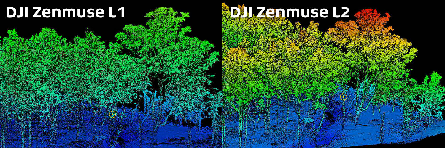 DJI L1 vs L2 - Vegetation Penetration