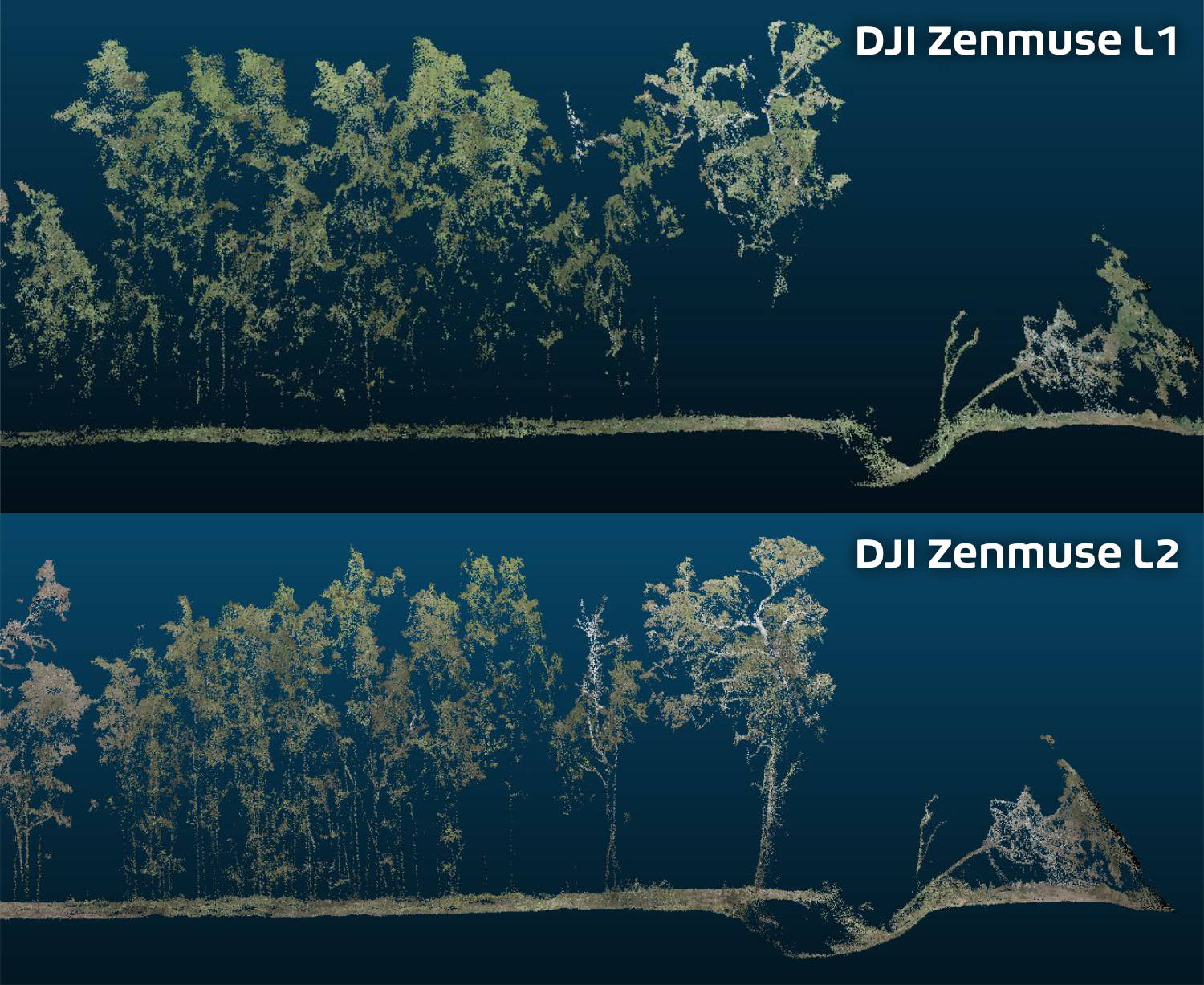 DJI L1 vs L2 - Vegetation Penetration colourised