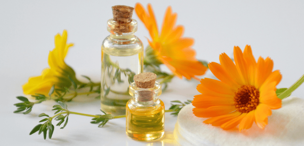 Calendula for SKin Care