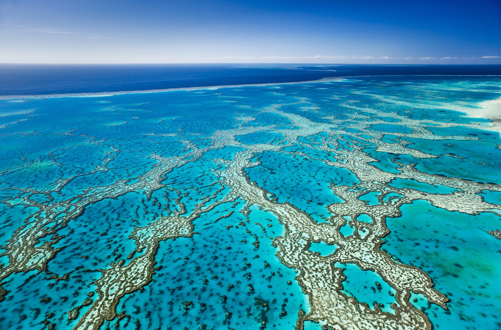 GREAT BARRIER REEF