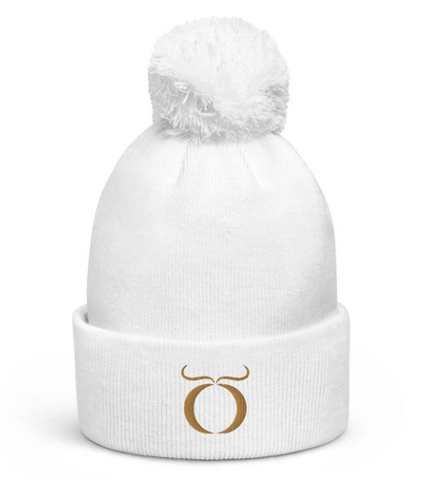 https://shanegmurphy.com/collections/new-winter-hot-hats/products/pom-pom-beanie-11