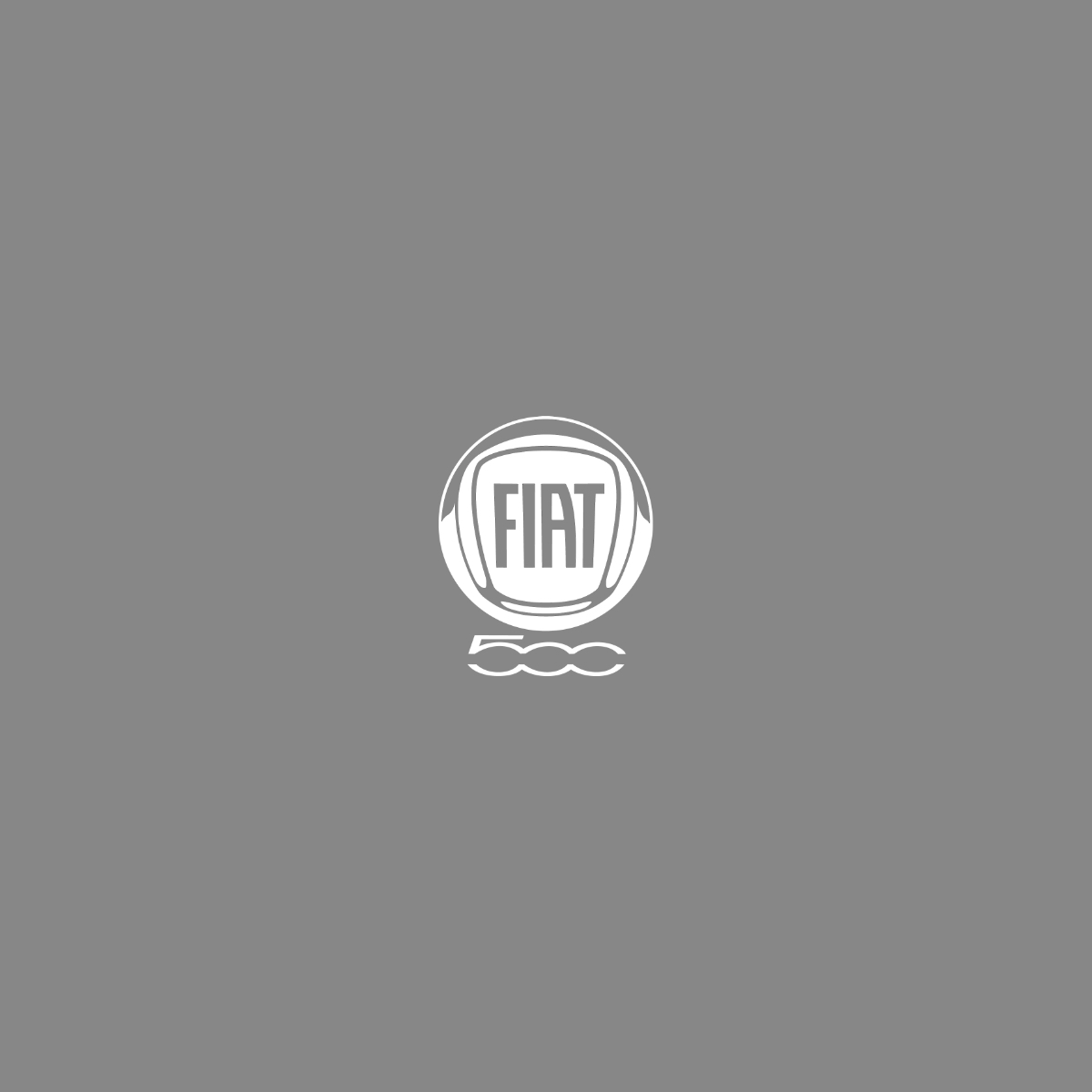 FIAT 500 - Titan Silver –