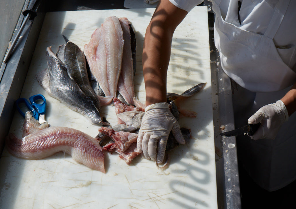 Fish counter at Greenpoint Fish