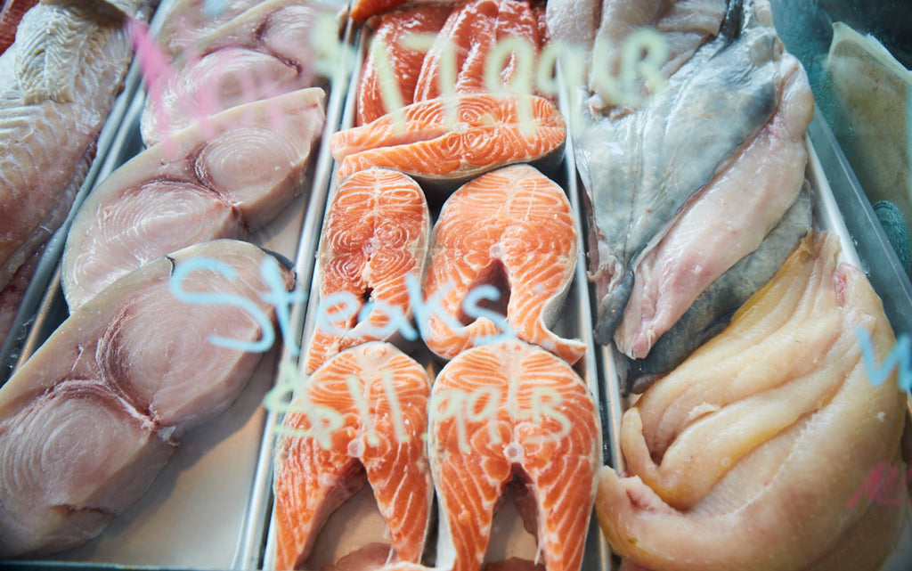 Greenpoint Fish fish counter