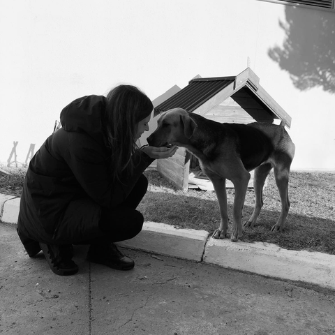 Founder Petya with Factory Dog