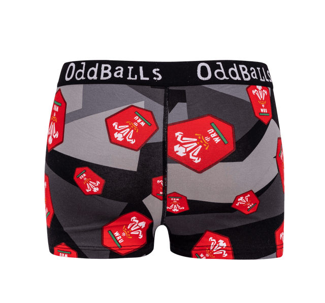 OddBalls Wales Rugby Ladies Brief