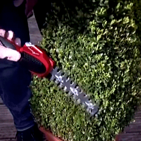 2-in-1 Cordless Grass Cutter & Hedge Trimmer