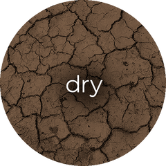 Dry Skin