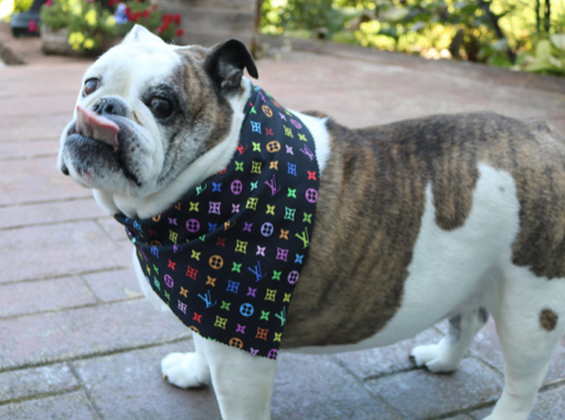 Dog Bandana Brown Inspired