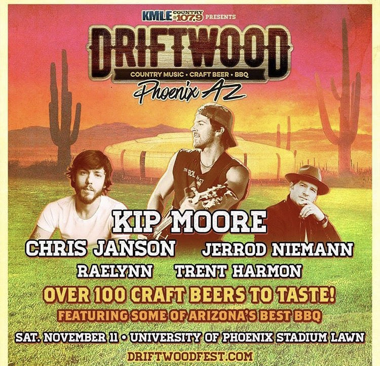 Driftwood Phoenix poster