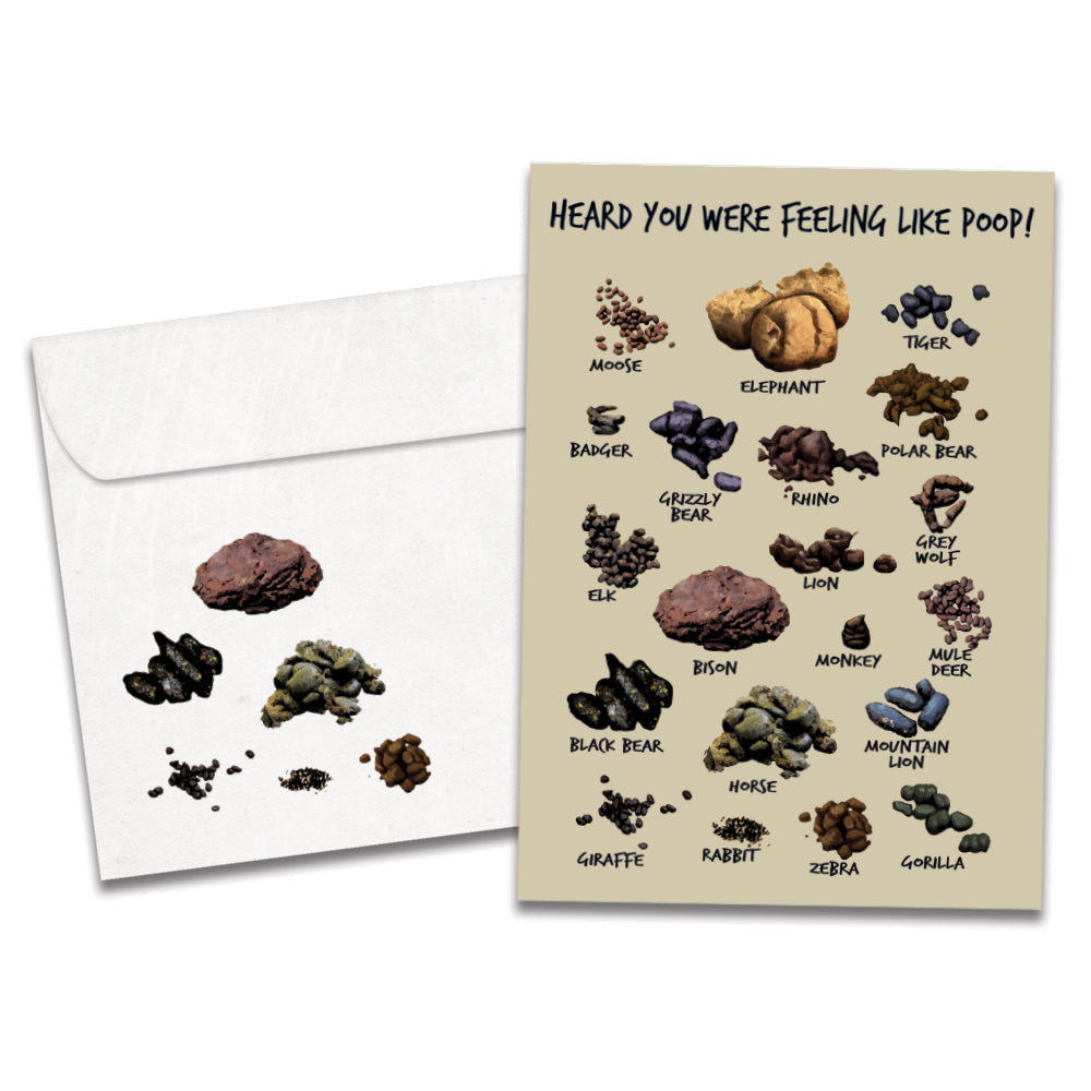 Feeling Like Poop Get Well Card