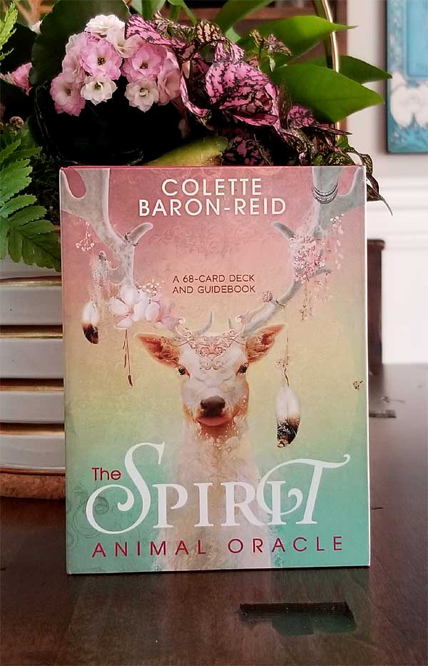 The Spirit Animal Oracle Deck And Guidebook Willow Den Inc