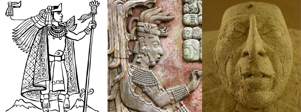 roi maya