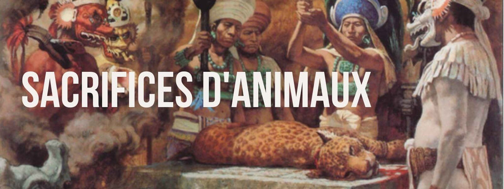 sacrifice maya animaux