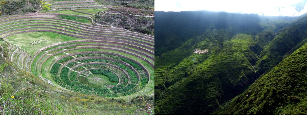 terrasses incas