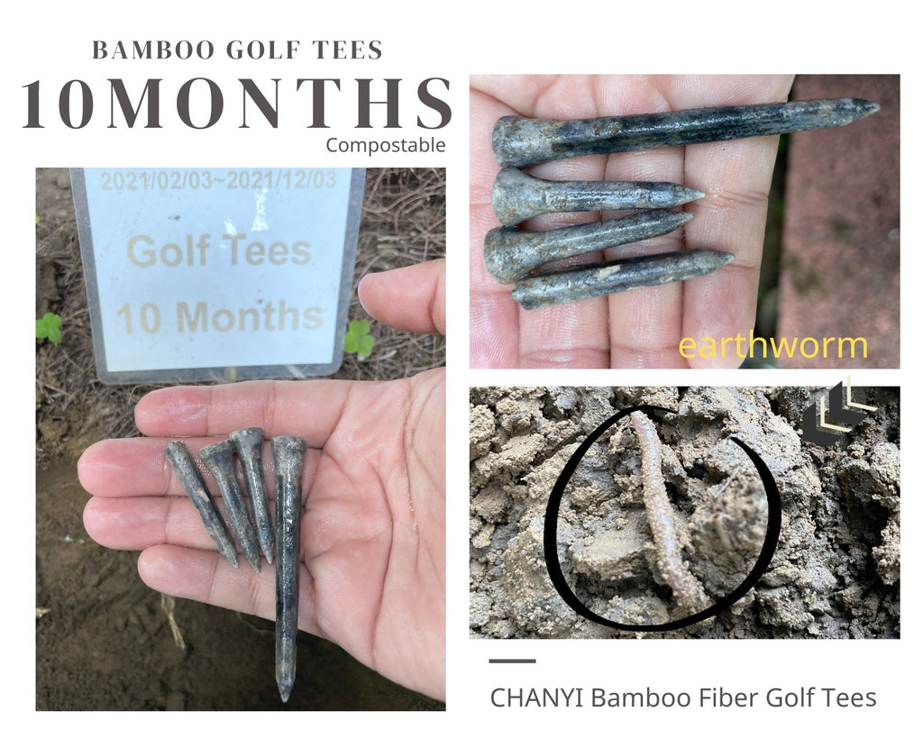 CHANYI Degradation Test Bamboo Fiber Golf Tee, Eco Friendly, Biodegradable, Compostable and Disposable  GOLF TEES 10 Month(final)-1