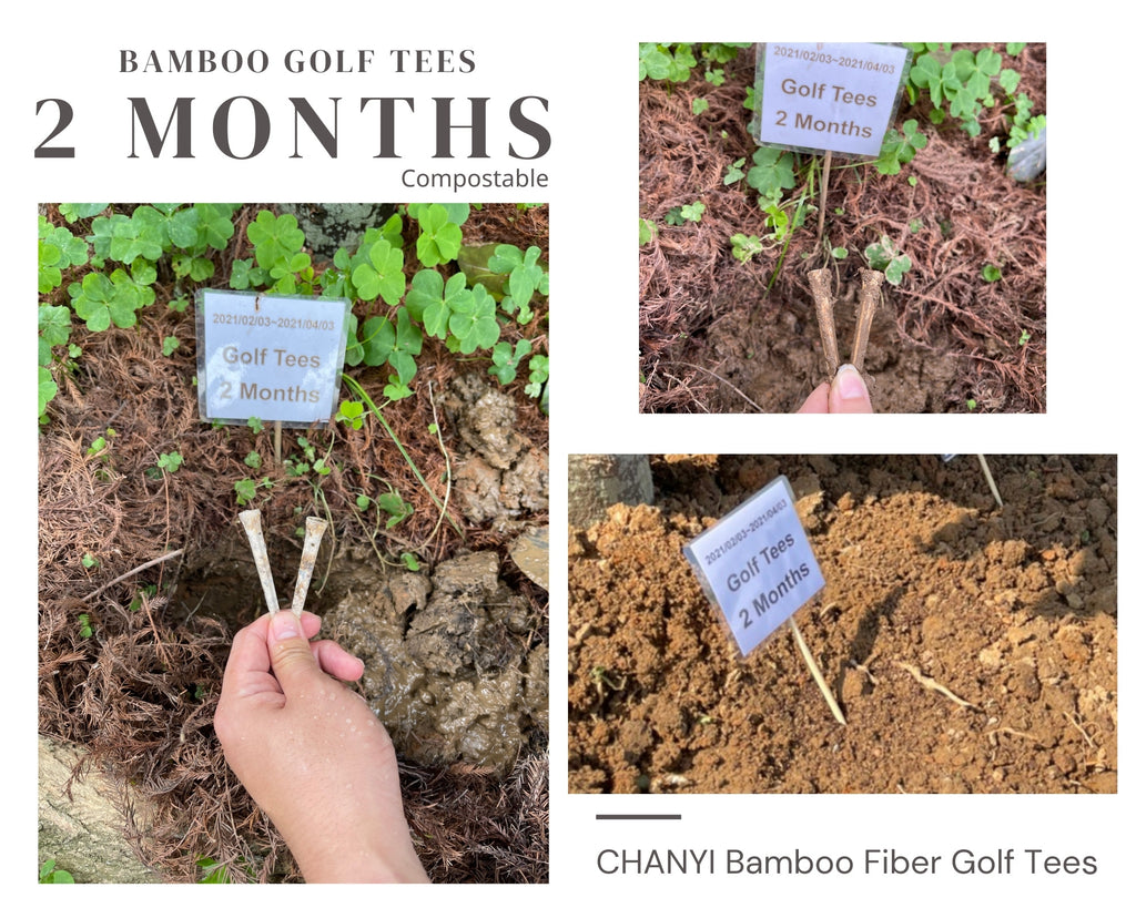 CHANYI Degradation Test Bamboo Fiber Golf Tee, Eco Friendly, Biodegradable, Compostable and Disposable  GOLF TEES 2 Month(final)-1