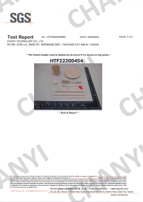 CHANYI SGS Test Report 05