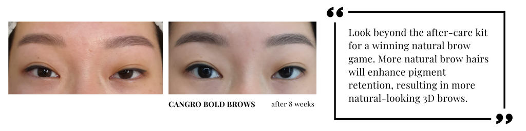 more brow hair growth after using Bold Brows Eyebrow Enhancer