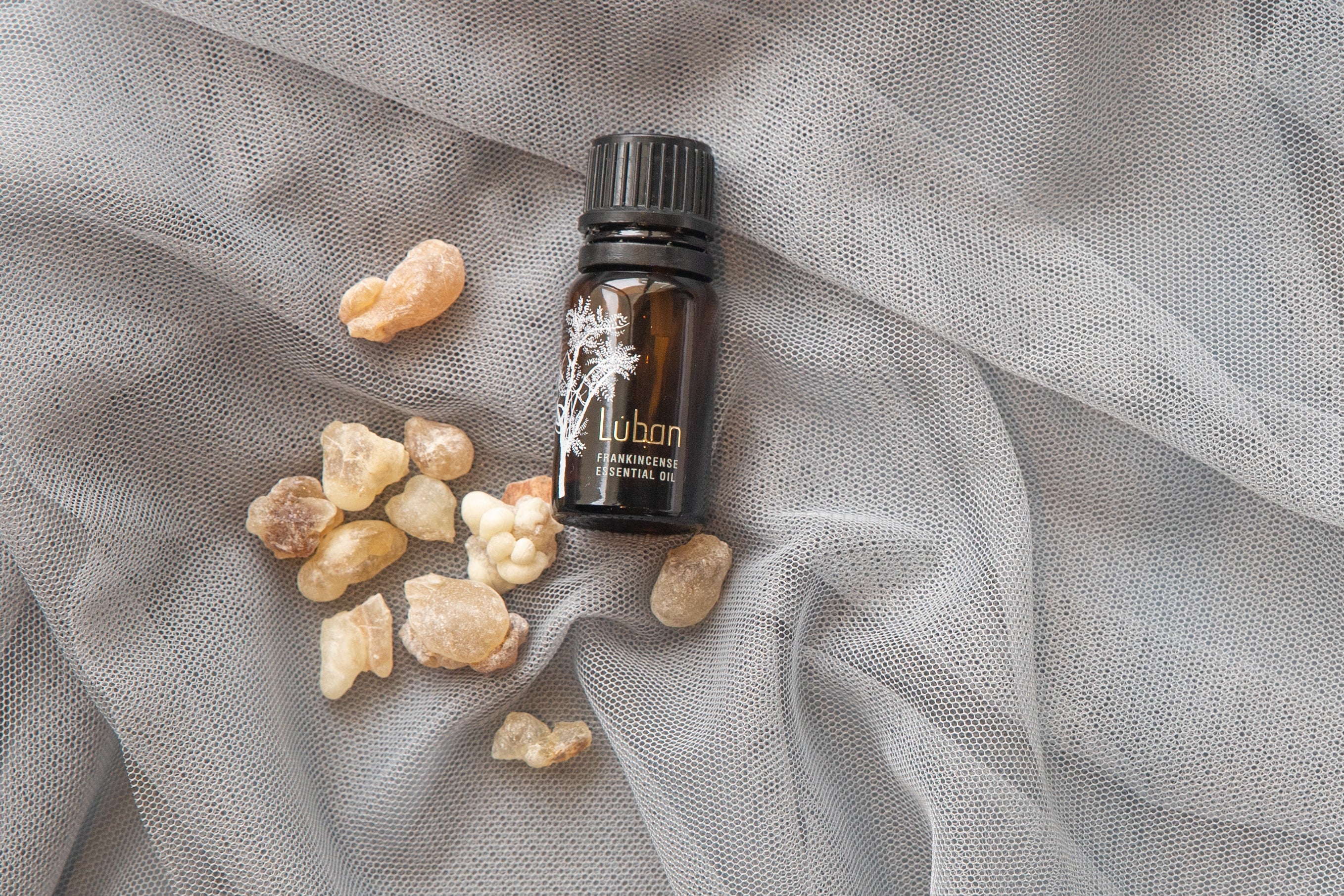 sacred frankincense essential oil 