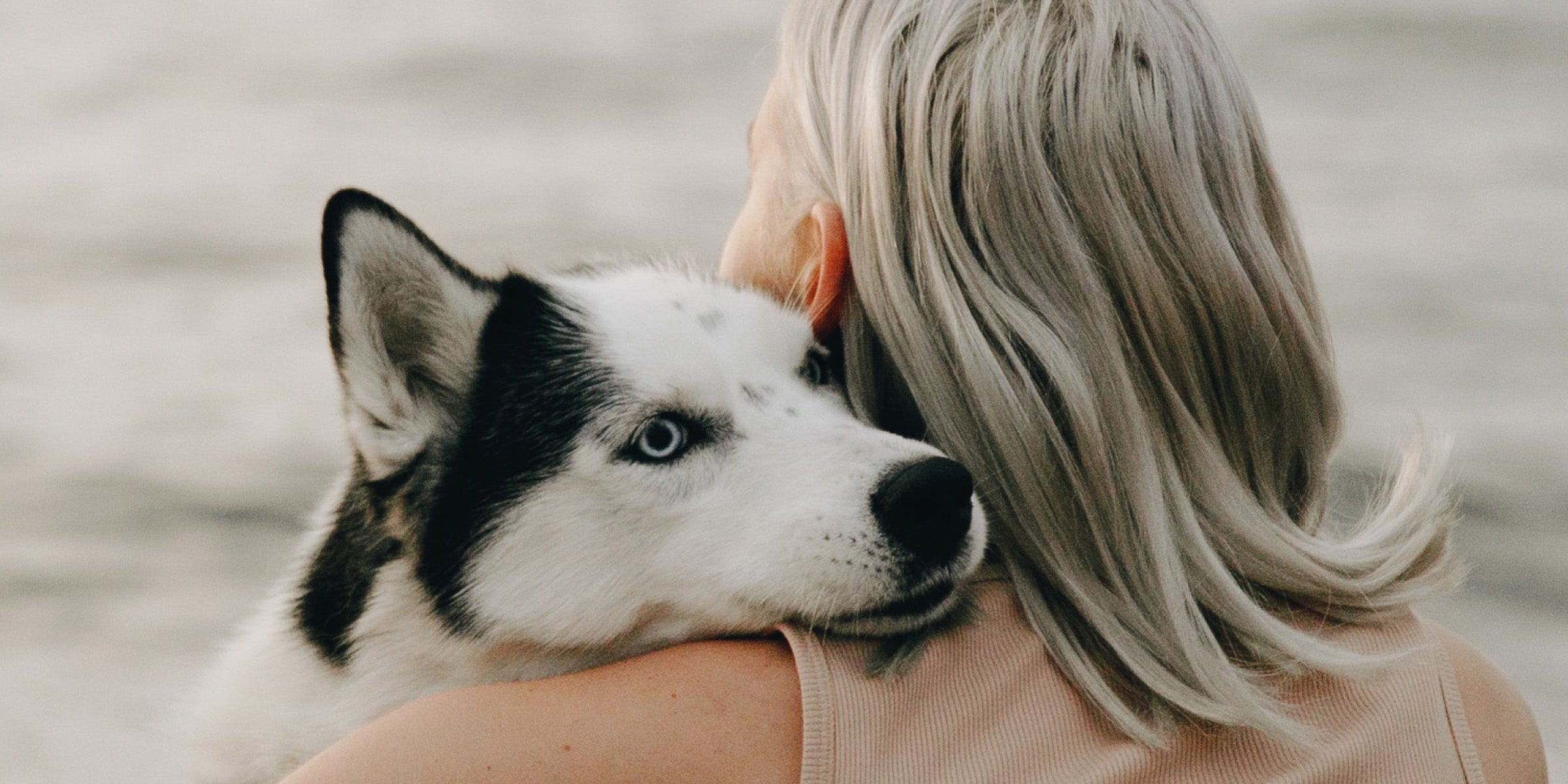 can you catch stomach bugs from dogs