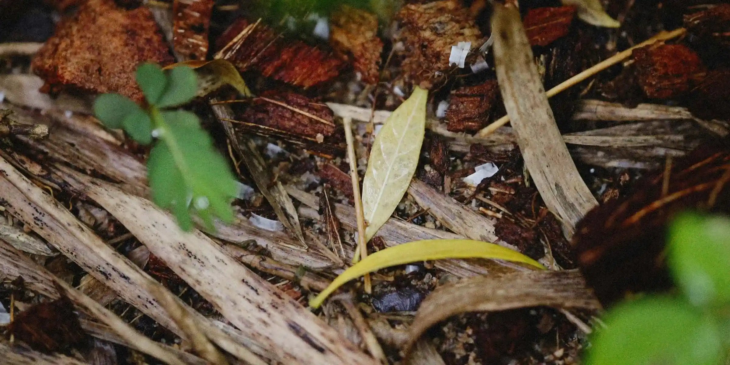 Build healthy soil