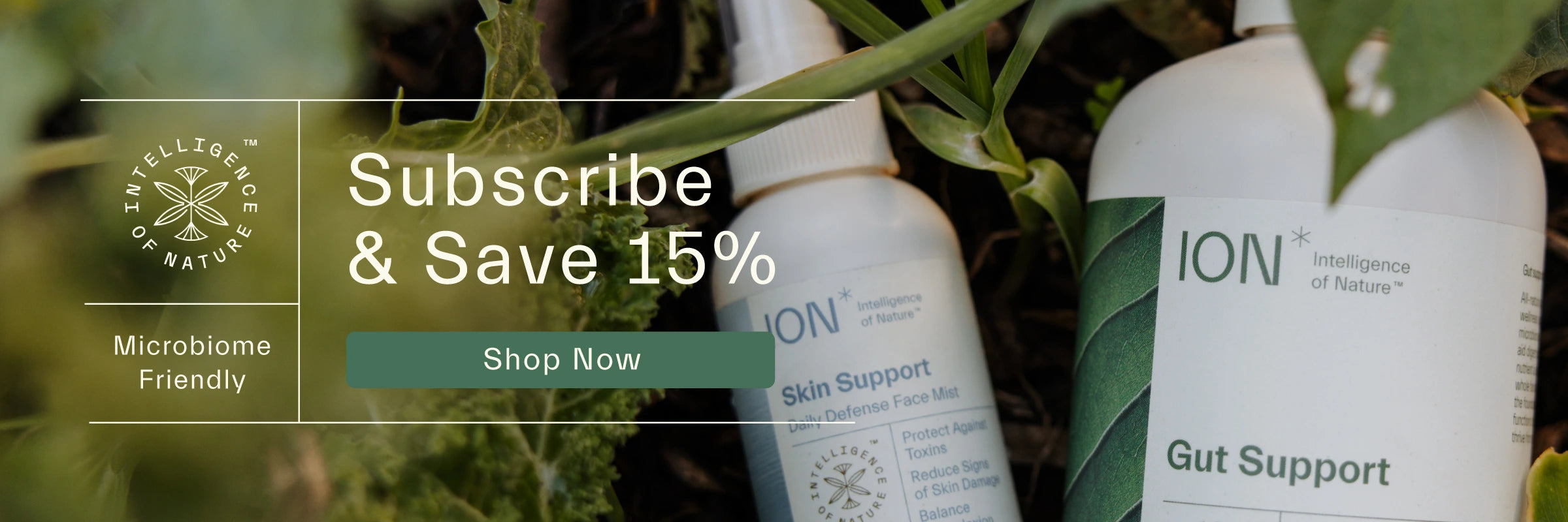 Save 15% with an ION* Subscription