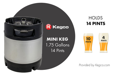 Mini Kegerator