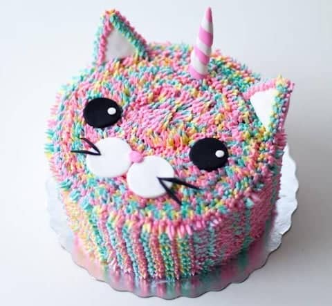 Kuchen Katze Einhorn