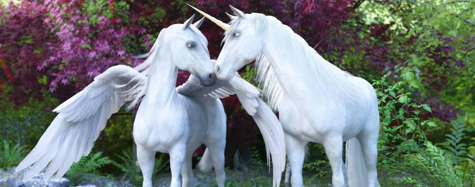 Pegasus und Einhorn