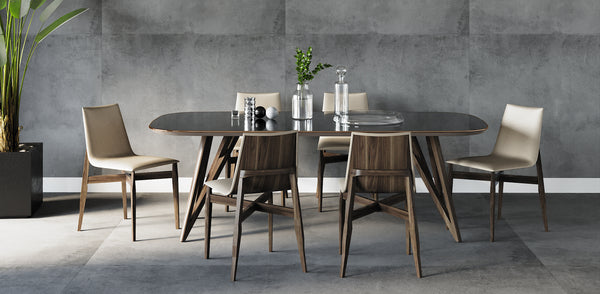 Dining Chairs and table