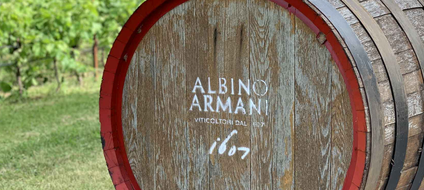 Albino Armani Pinot Grigio Colle Ara 2021 – wine4u